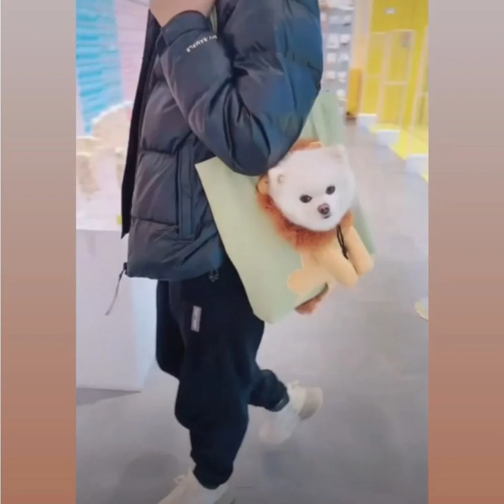 Lion pet tote bag -seen on TikTok